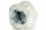 Sparkling Celestine (Celestite) Geode Section - Madagascar #364672-1